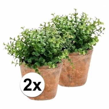 2x groene kunstplant eucalyptus plant in pot prijs