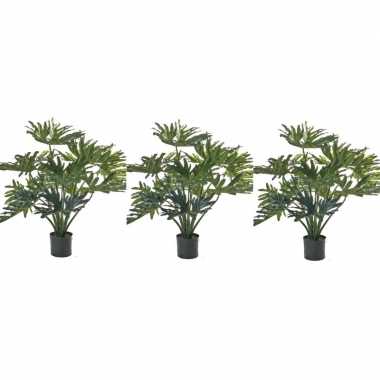 3x nep planten groene philondendron 80 cm prijs