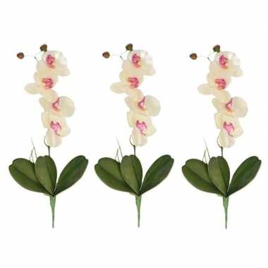 3x nep planten roze/wit orchidee/phalaenopsis binnenplant, kunstplant