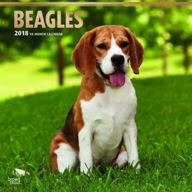 Beagles kalender 2018 prijs