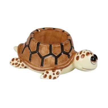 Eierdopjes schildpad 10 cm prijs