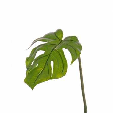 Groene gatenplant kunstblad 55 cm prijs