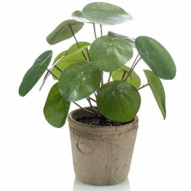 Groene kunstplant pilea plant in pot 25 cm prijs