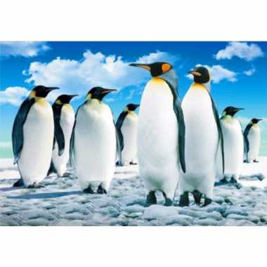 Pinguins placemats 3d prijs