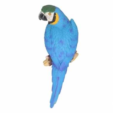 Polystone tuinbeeld blauwe ara papegaaien vogels 30 cm prijs