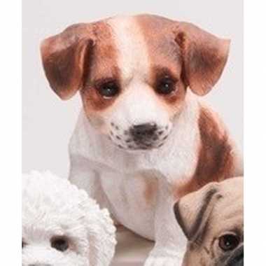 Polystone tuinbeeld bruin/wit jack russel puppy hondje 15 cm prijs