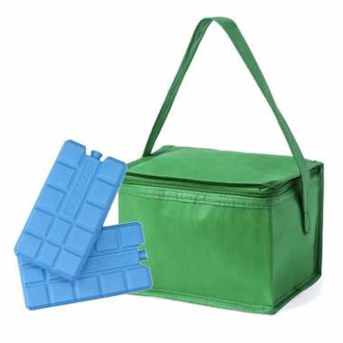 Strand sixpack mini koeltasje groen inclusief 2 koelelementen prijs