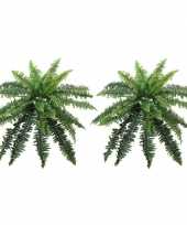 Vergelijk 2x nep planten groene varen binnenplant kunstplanten 70 cm prijs