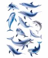 Vergelijk 3x dolfijnen stickervellen met 33 stickers prijs