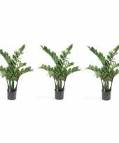 Vergelijk 3x zamioculcas kunstpalmen 70 cm prijs