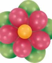 Vergelijk doe het zelf setje ballonnen bloem groen fuchsia prijs