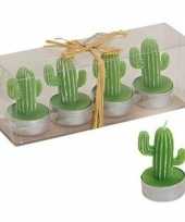 Vergelijk donkergroene cactus theelichten 4x prijs