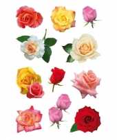 Vergelijk gekleurde rozen bloemen stickervellen met 99 stickers prijs