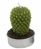 Vergelijk groen cactus theelichtje 5 cm type 1 prijs