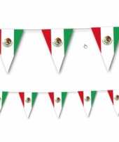 Vergelijk mexicaanse vlaggenlijn 3 5 meter prijs