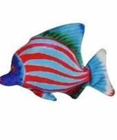 Vergelijk pluche tropische vis blauw rood gestreept 25 cm prijs