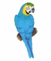 Vergelijk polystone tuinbeeld blauwe ara papegaaien vogels 16 cm prijs