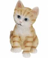 Vergelijk zittende katten beeldje oranje 19 cm prijs
